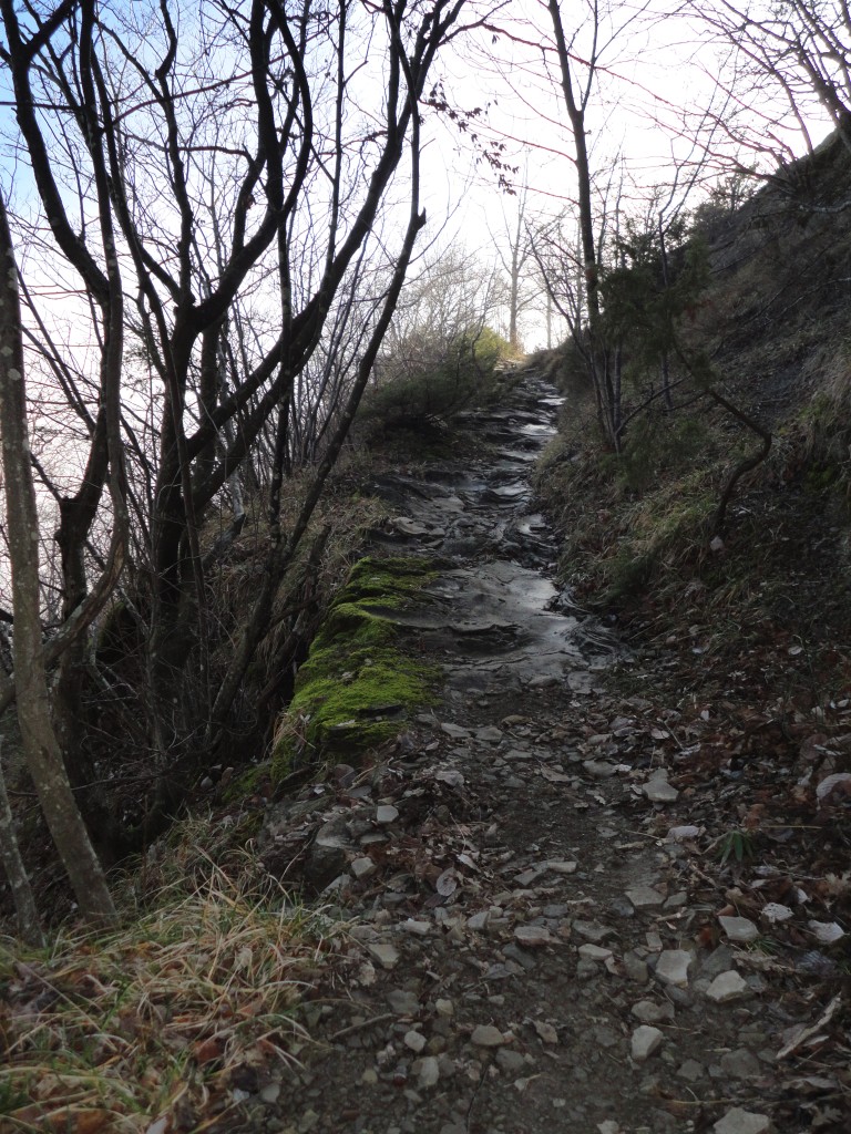 il viottolo prima delle micidiali pietrose rampe, la nebbia è appena superata...