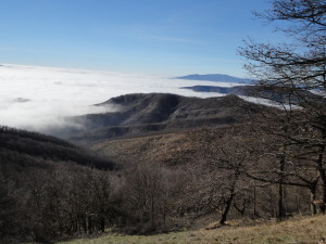 vista dal Pratin del Bravo (crinale) verso la nebbia della vallata