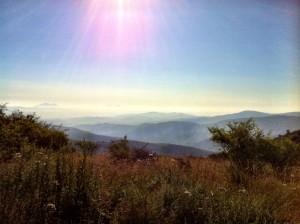 IMG_4168