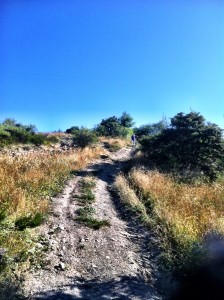 IMG_4170