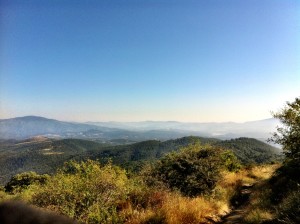 IMG_4172