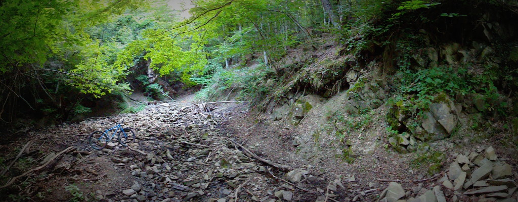 DSC03605
