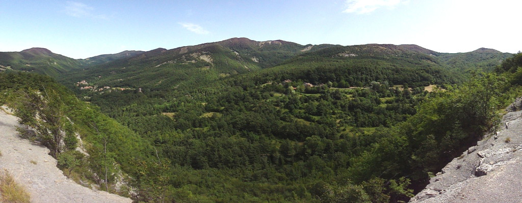 DSC03651