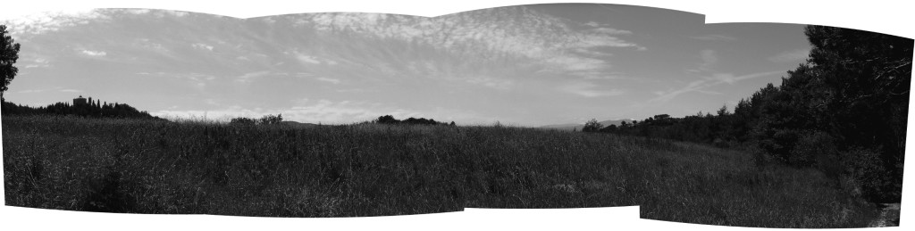 panorama dietro Belvedere2